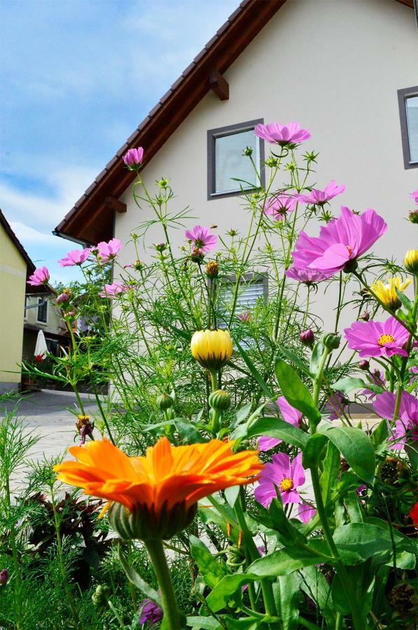 Haus Rosy Ferienwohnung Stubenberg Exterior foto